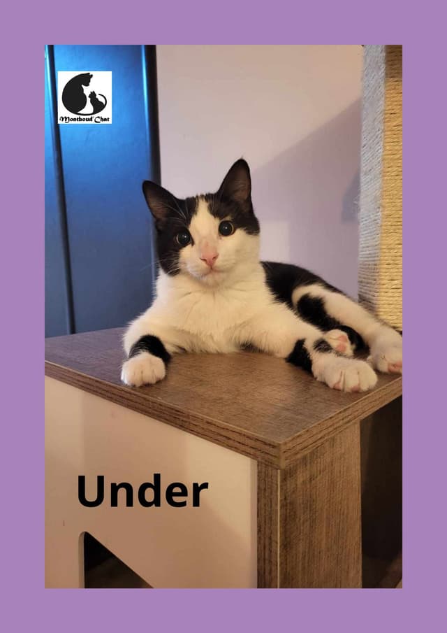 UNDER