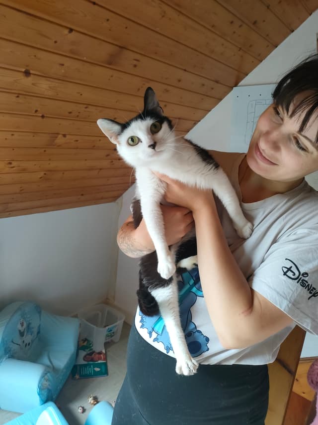 Krema