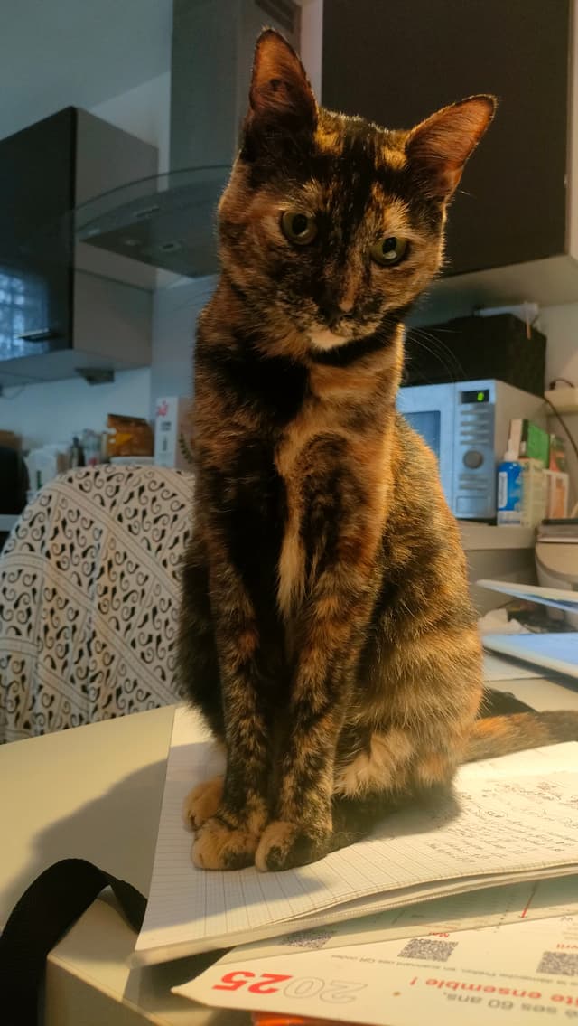 YUMI