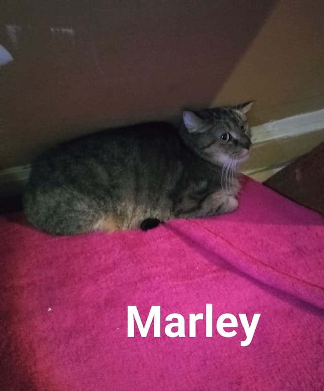 narley