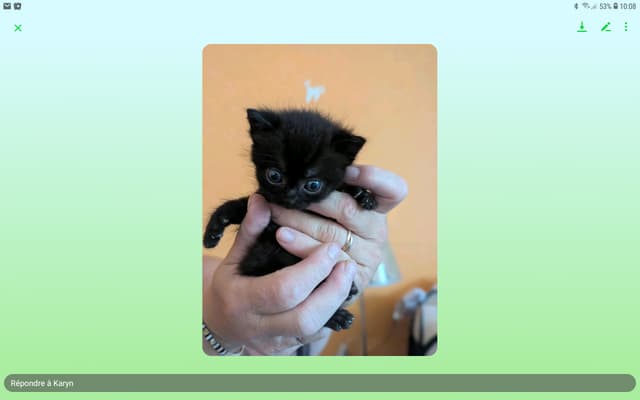 Bijou
