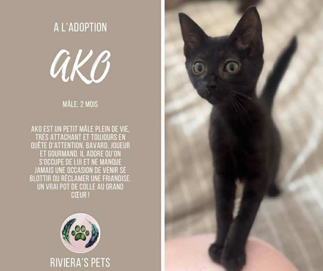 Ako