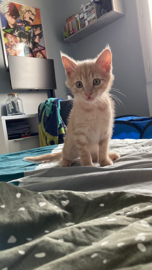 BILLY