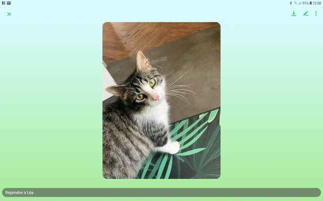 Titou