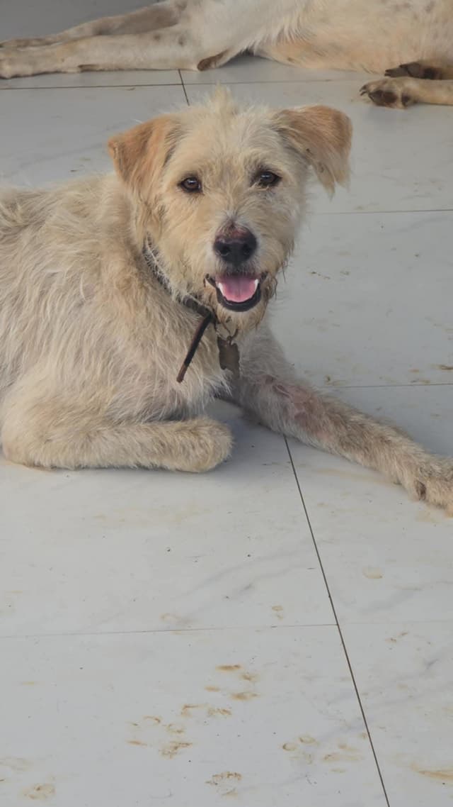 Jerry