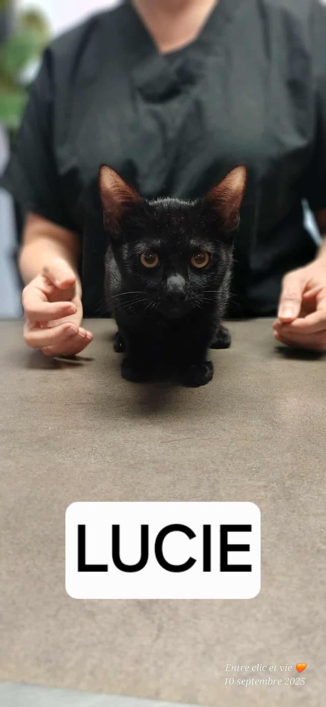 Lucie