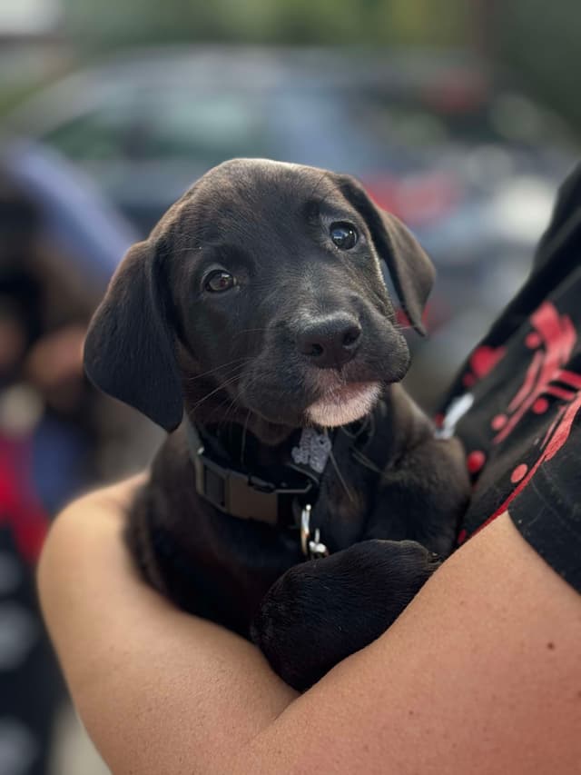 ABy