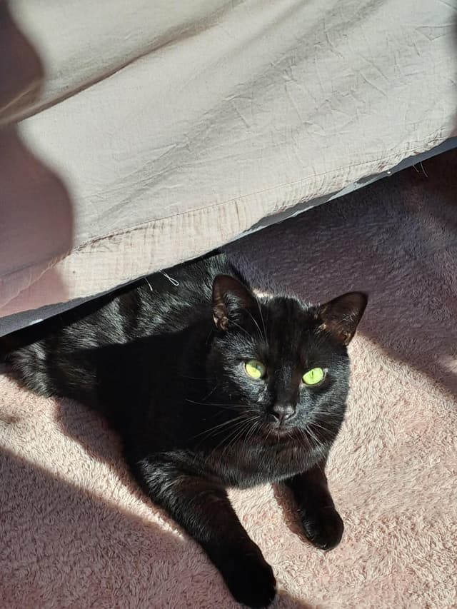 Salem