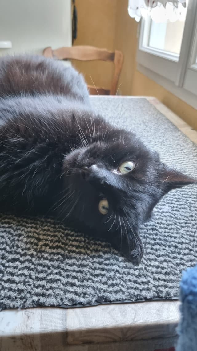 poupouf