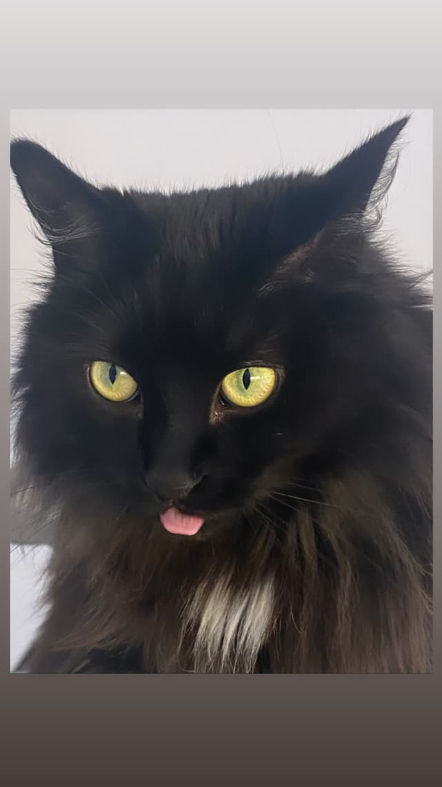 Ayka