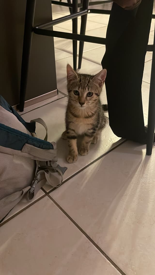 MINNIE