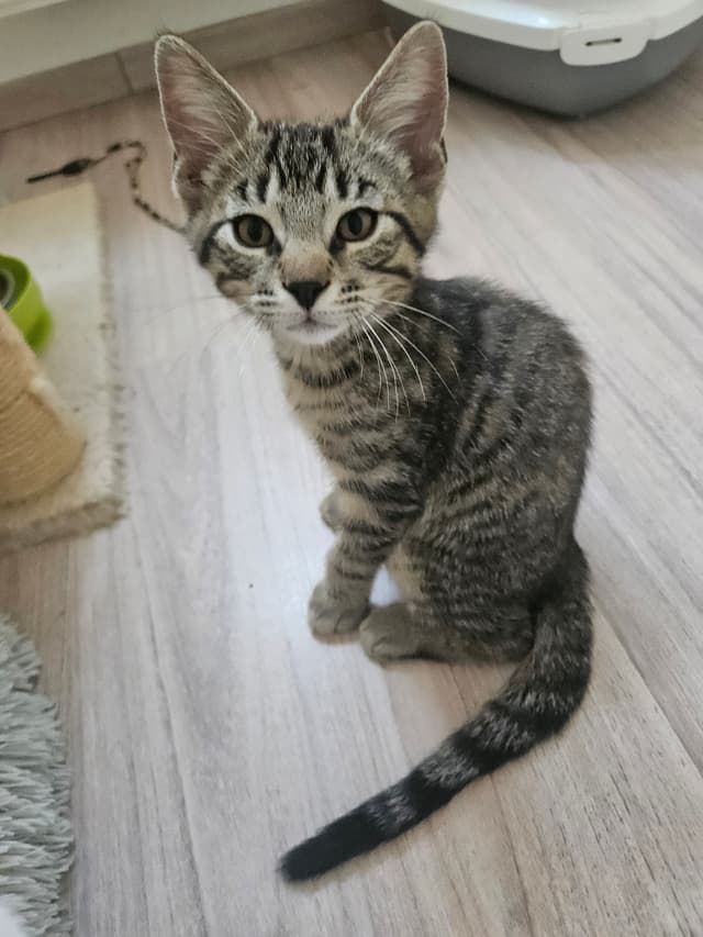 BOOBA