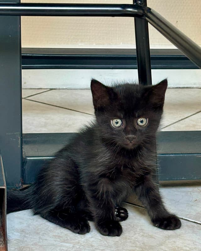 Minnie