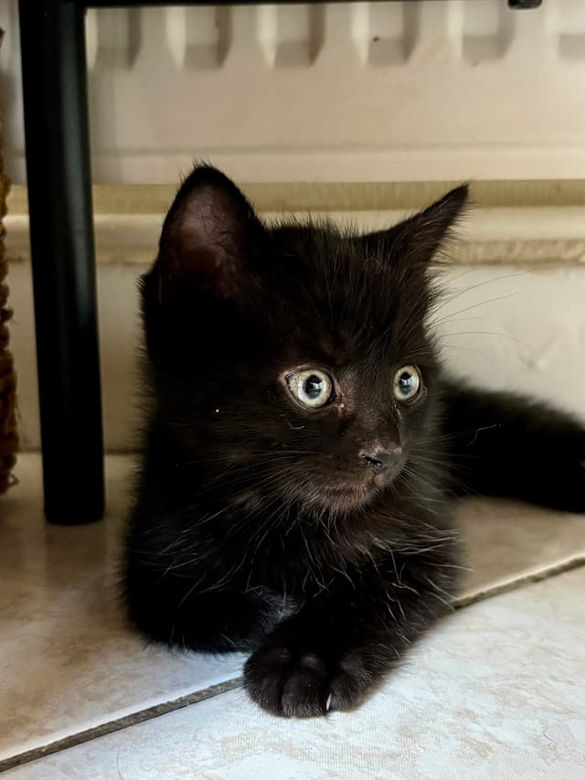 Minnie