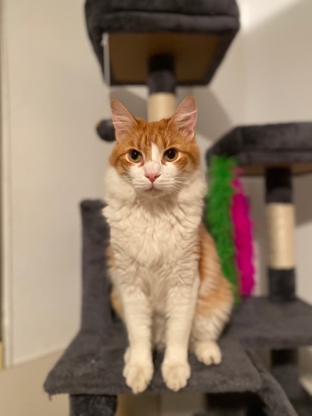BILLY