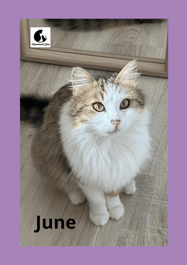 JUNE