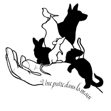 Une patte dans la main
