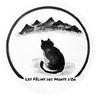 Les Félins des Monts d’Or