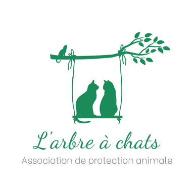 L'arbre à Chats