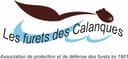 Les furets des calanques